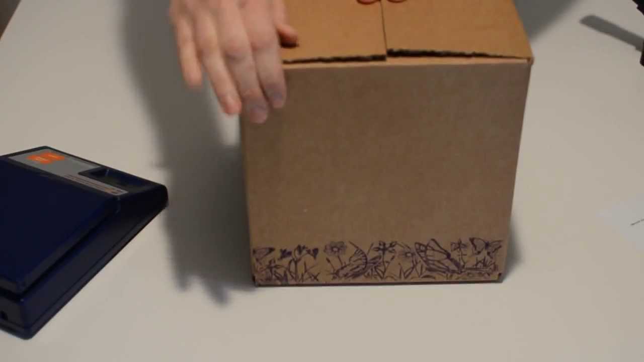 Packing a Box of Butterflies - YouTube
