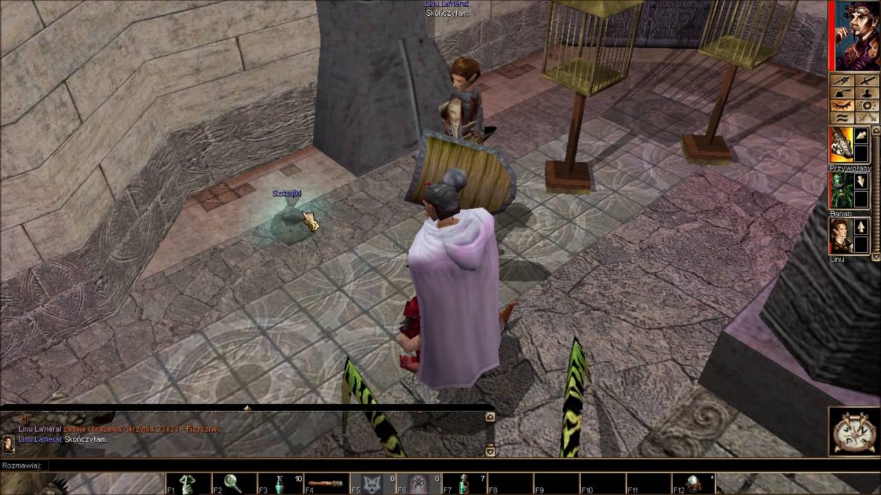Neverwinter Nights 43 (Czarnystaw Zoo) YouTube