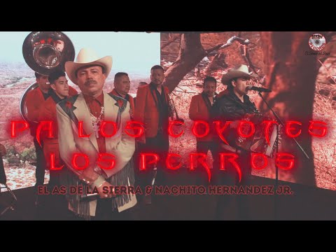 Pa' Los Coyotes Los Perros (ft. Nachito Hernandez Jr.) [Video Oficial]