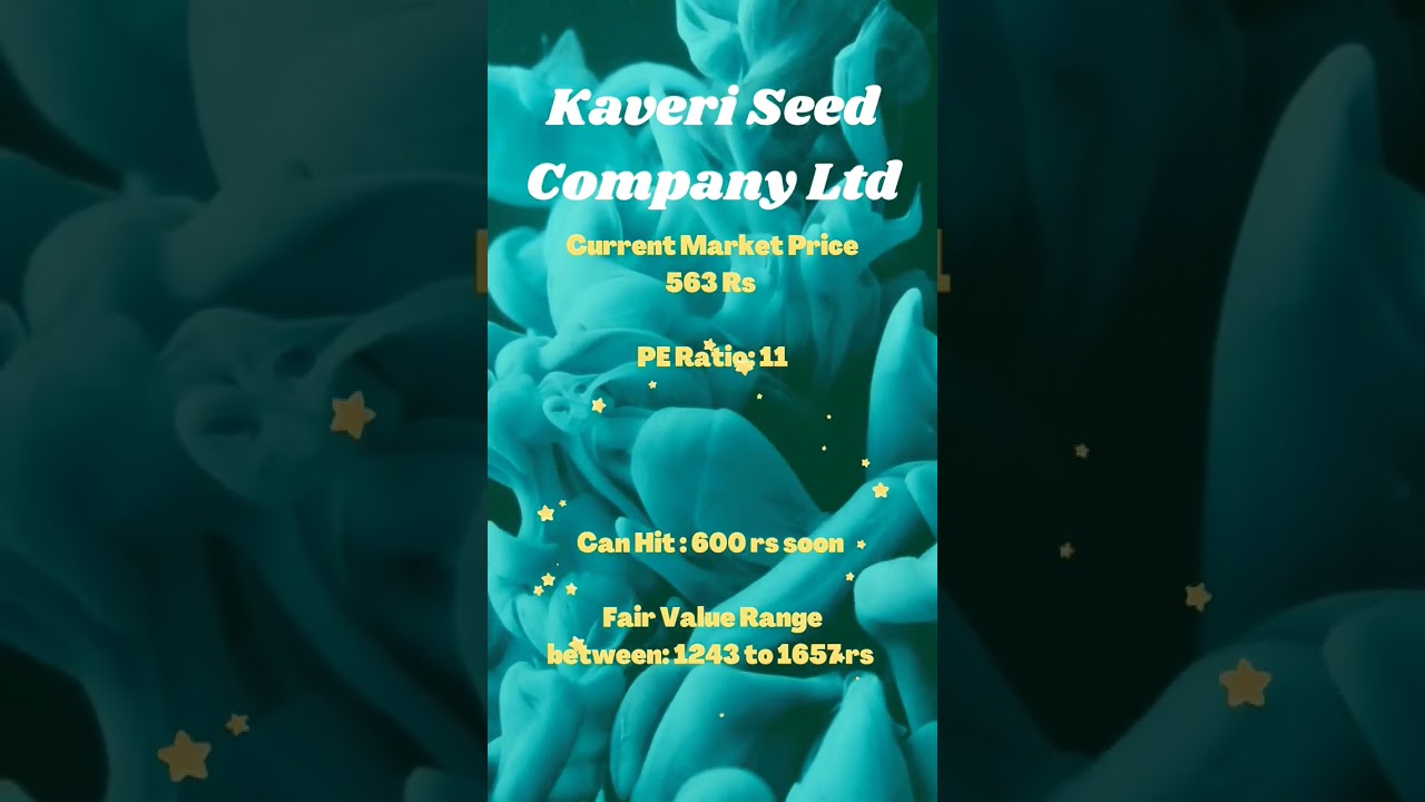 Unknown Undervalued Stock 