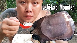 Masak Labi-Labi Monster Sebesar Pintu 30KG,Chef Masakan Borneo.