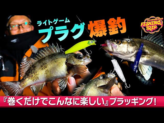ライトゲーム】巻くだけでこんなに楽しめるメバルプラッギングゲーム