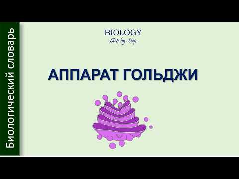 АППАРАТ ГОЛЬДЖИ