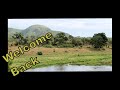 Welcome Back to the Xongile Lodge Youtube Channel!