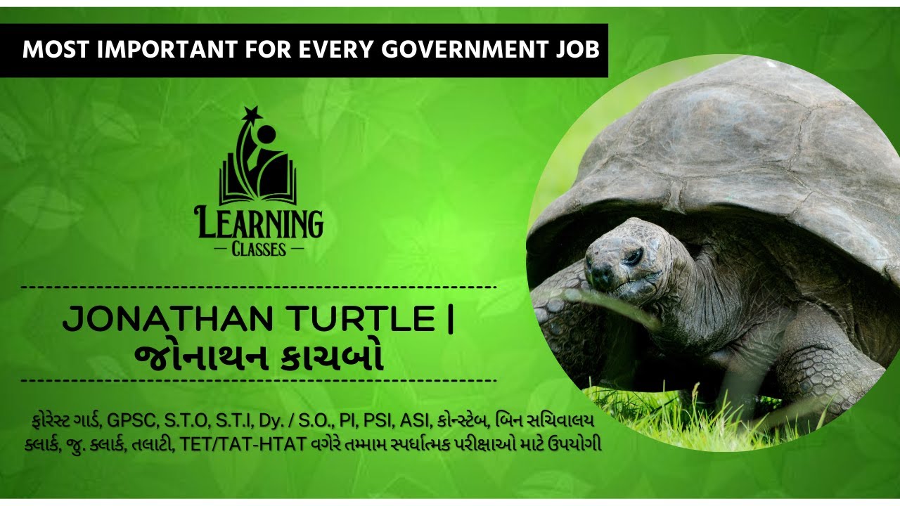 Jonathan turtle | જોનાથન કાચબો - YouTube