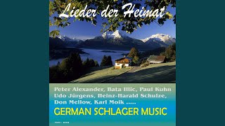 Mandolinen und Mondschein