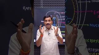 Anatropous Ovule Explained 🌱 | Inverted Ovule Structure | Most Common Ovule in Plants #shorts