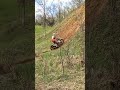 Amateur Enduro | Dirtbike hills climbing