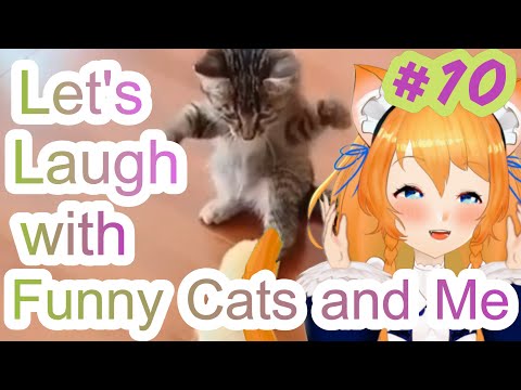 [FunnVideo]Lets Laugh with Funny Cats and Me #10 オモロー猫ねこちゃん達と笑おうよ 10【猫動画】