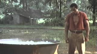 White Supremacy The Greatest Retribution