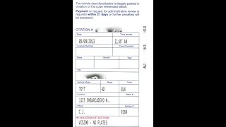 Parking Ticket Sample