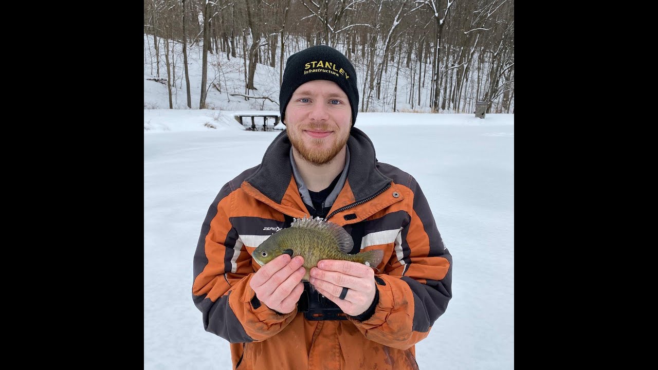 Ice fishing for BIG bluegill with Marling Baits YouTube