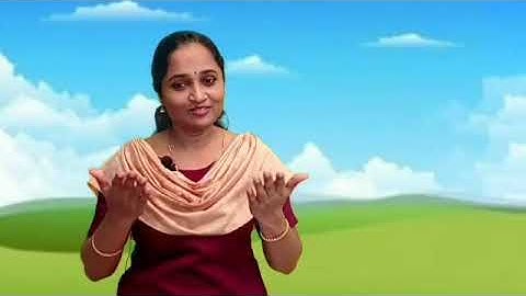 Std 5 English Unit 3 Class 11White Board SLD