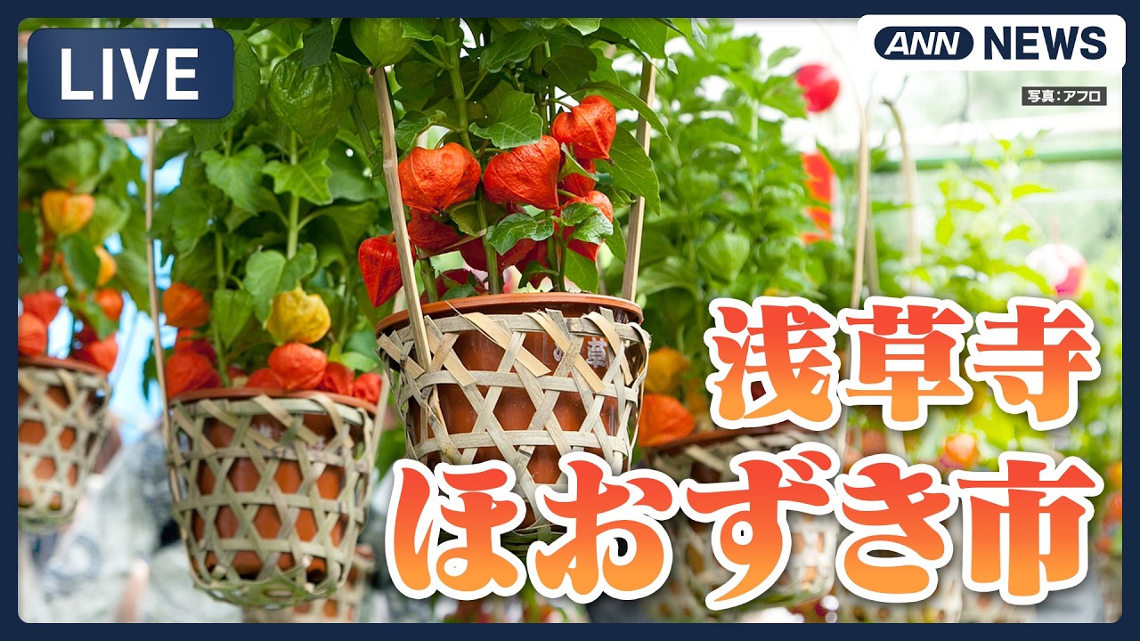 ライブ】夏の風物詩 浅草寺「ほおずき市」 癒しの風鈴の音【LIVE