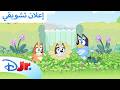حلقات جديدة بلووي ديزني جونيور بالعربي