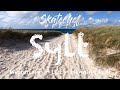 Urlaub auf Sylt - Die schönsten Orte in Westerland, Wenningstedt, List  und Kampen 2019