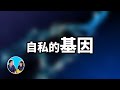 其實基因也有思想 我們都被它利用了 老高與小茉 Mr Mrs Gao 其實基因也有思想 我們都被它利用了 老高與小茉 Mr Mrs Gao