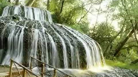 تلاوة مؤثرة بصوت خاشعه جدا للشيخ نايف الفيصل 👍