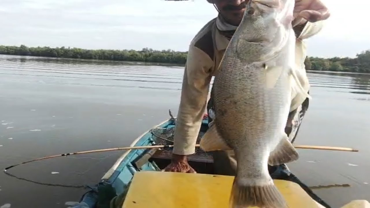 Spot nya cukup memuaskan strike bertubi tubi 