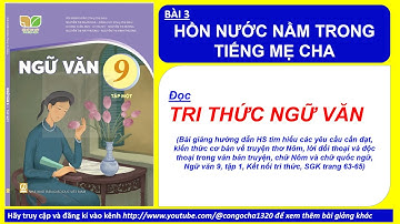 BÀI 3 TRI THỨC NGỮ VĂN- HỒN NƯỚC NẰM TRONG TIẾNG MẸ CHA- Ngữ văn 9, tập 1- Kết nối, trang 64-65