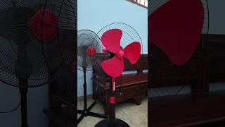 lasko fan ventilador #ventilador #fan #shorts #shortvideo