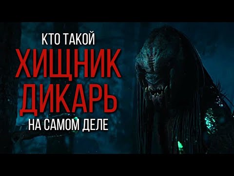 Видео: Что на самом деле означает дикарь?