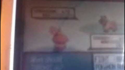 Uncatchable Shiny Poochyena Appears On Ruby Version After 3,145 SRs =.=