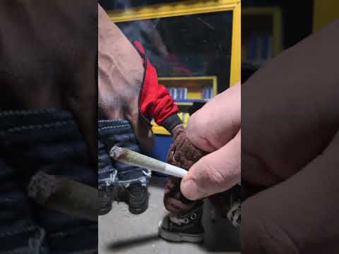 تم إكمال التحدي تجاوز الأمن 100 نقطة خبرة تزلج