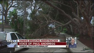 San Diego gets first rain in nearly two months, tree comes down in La Jolla