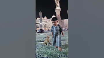 Mashallah 😍 baby play with cat in Medina ❤️🥀