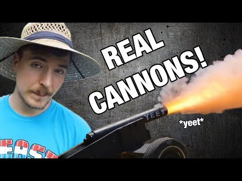 I Got Cannons For MrBeast