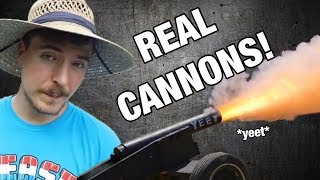 I Got Cannons For MrBeast