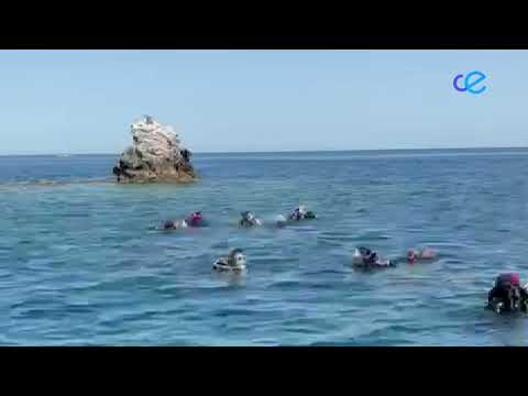 Tradicional ofrenda floral a la Virgen del Carmen en la Piedra del Pineo