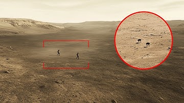 NASA Mars Rover Perseverance Sent Most Incredible Footage Of Mars! Curiosity