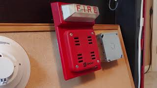 Simplex 4903-9101 & 2901-9838 Test