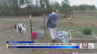 Helping Special Needs Adults Take the Next Step | Nov. 15, 2024 | News 19 at 5 p.m.