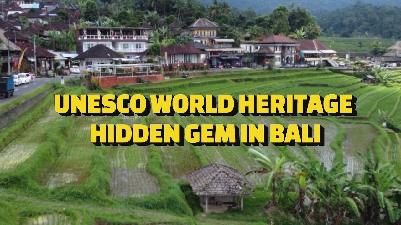 Jatiluwih Rice Terraces Bali 🌾 UNESCO World Heritage Hidden Gem!