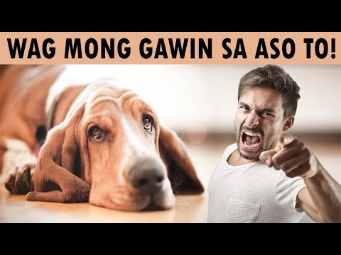 Video: Paano Pipigilan Ang Isang Aso Na Hindi Tumahol Sa Mga Tao