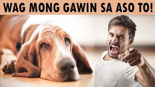 Mga bagay na ayaw ng aso sa mga tao | (Don't do this)