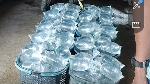 ice for fish use only