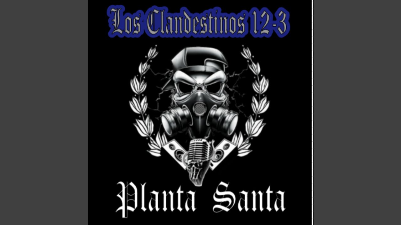 Planta Santa