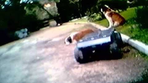 Brutus Robot, by Alejandro Alonso