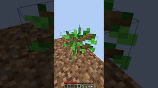 Minecraft 1 block