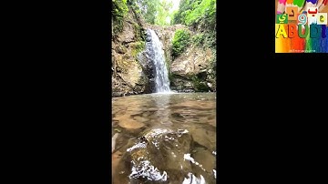 قرآن كريم سورة الإخلاص بصوت الشيخ وديع اليمني    Holy Quran Surat Al-Ikhlas   Sheikh Wadih Al-Yamani
