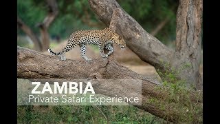 Zambia Private Safari Experience