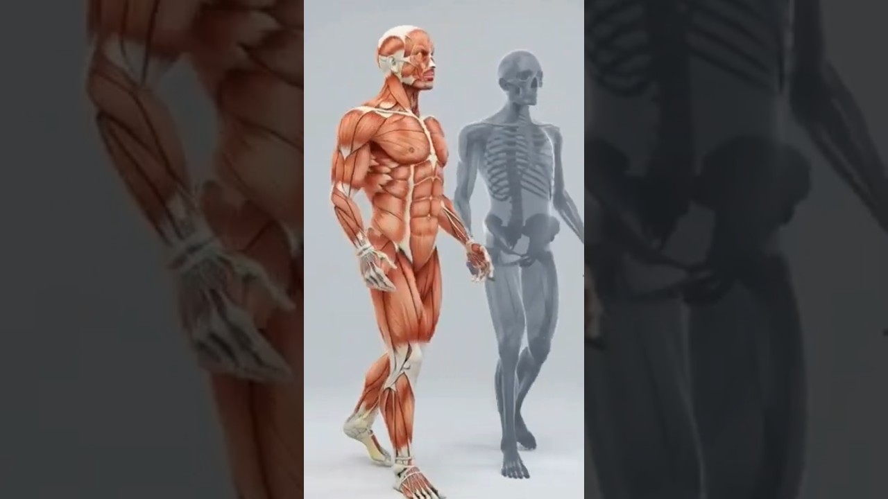 Real Reason for Your Back Pain 😳 