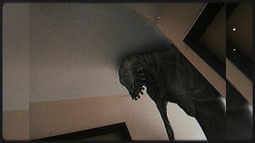 Liminal Spaces But They Keep Getting Creepier...💀 (Part 53)