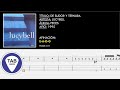 (11) De Sudor y Ternura | Lucybell | Bass TAB