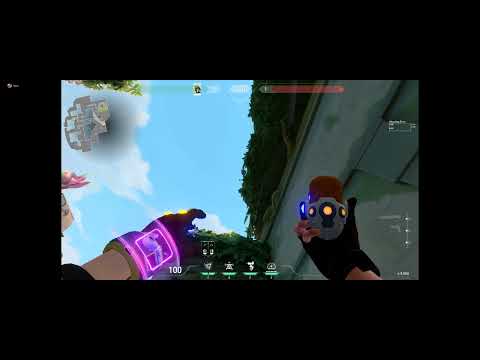 KJ Lotus Plant Molly Lineup Guide A Default From Rubble