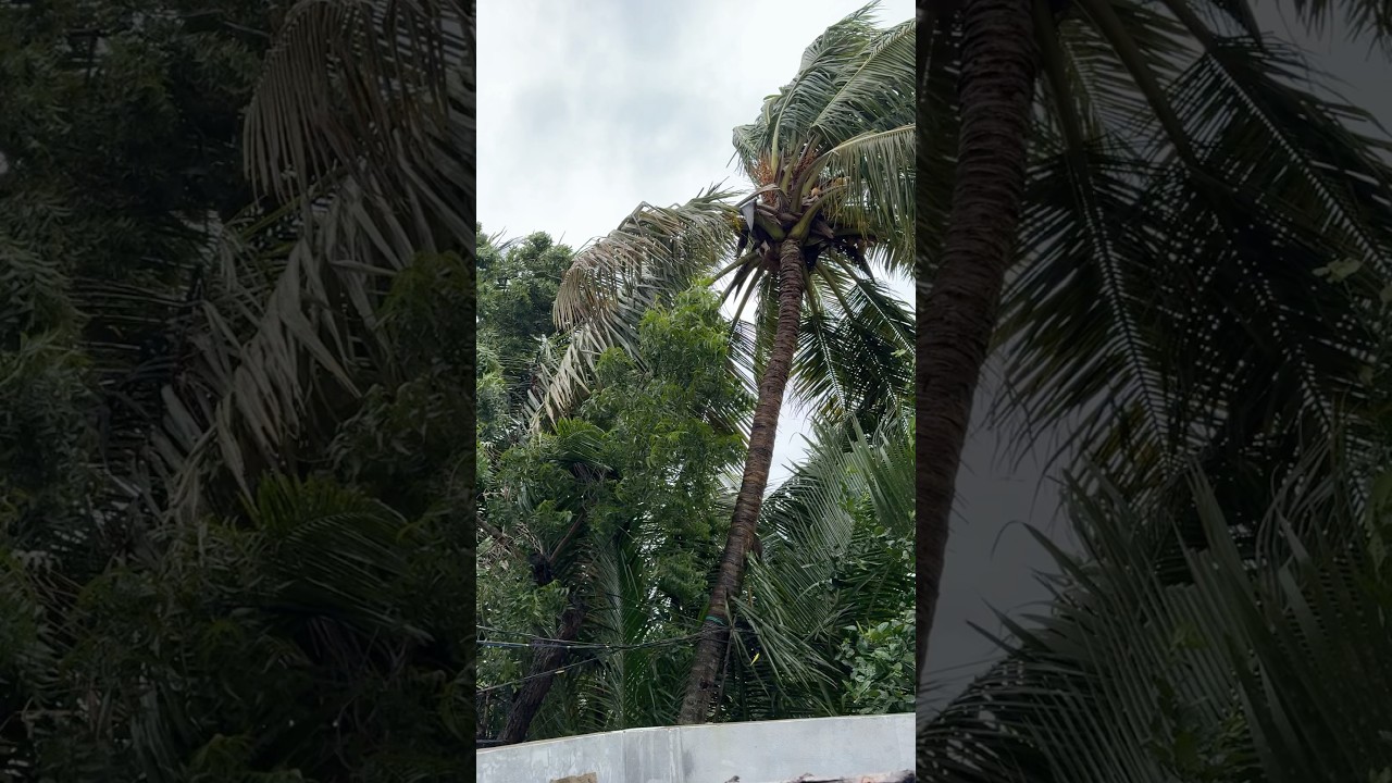 Montha cyclone effect 